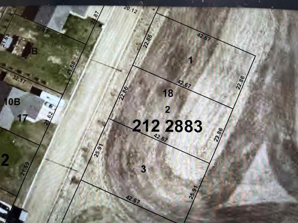 MLS® A2076411 - 318 Niblock Street  in Bawlf Bawlf, Land