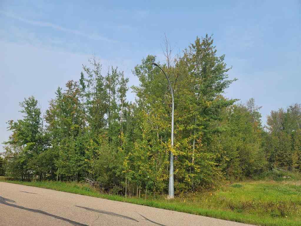 MLS® A2077900 - 5404 Spruce Avenue  in NONE Wandering River, Land
