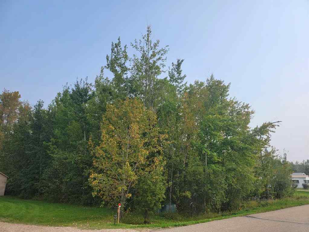 MLS® A2077900 - 5404 Spruce Avenue  in NONE Wandering River, Land