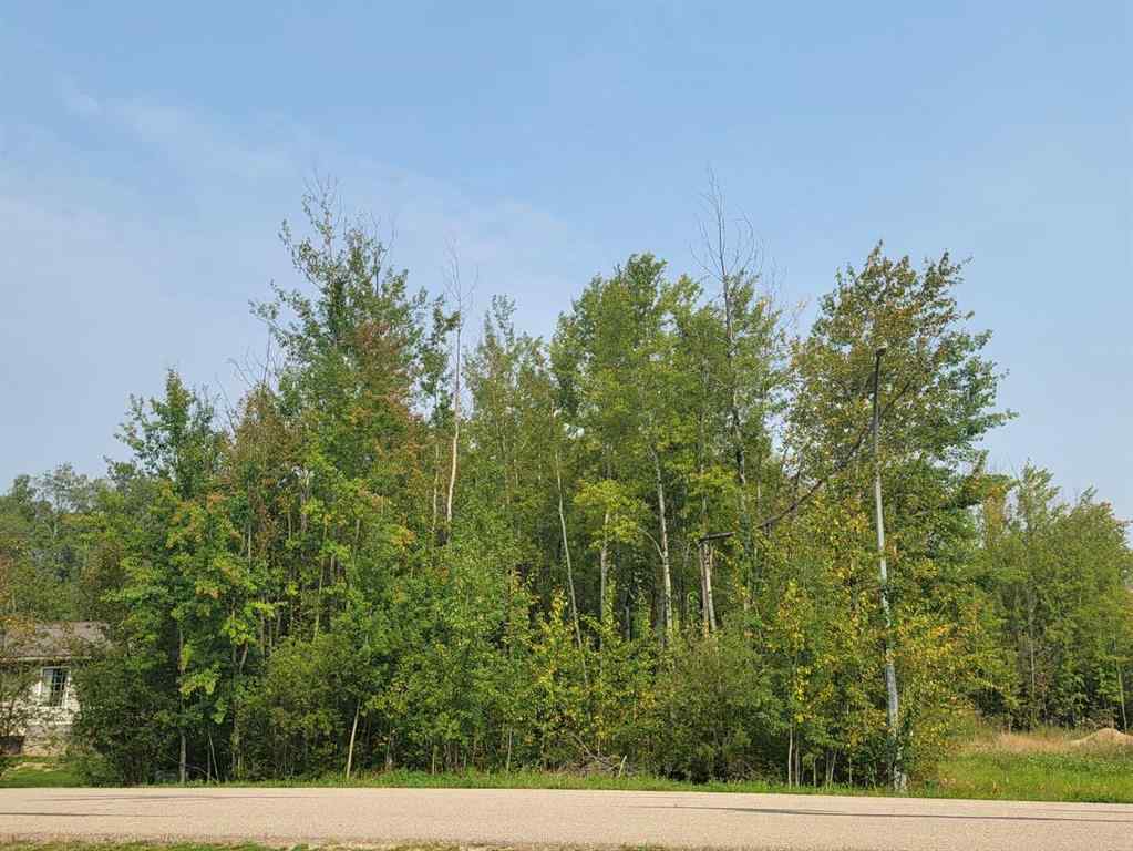 MLS® A2077900 - 5404 Spruce Avenue  in NONE Wandering River, Land