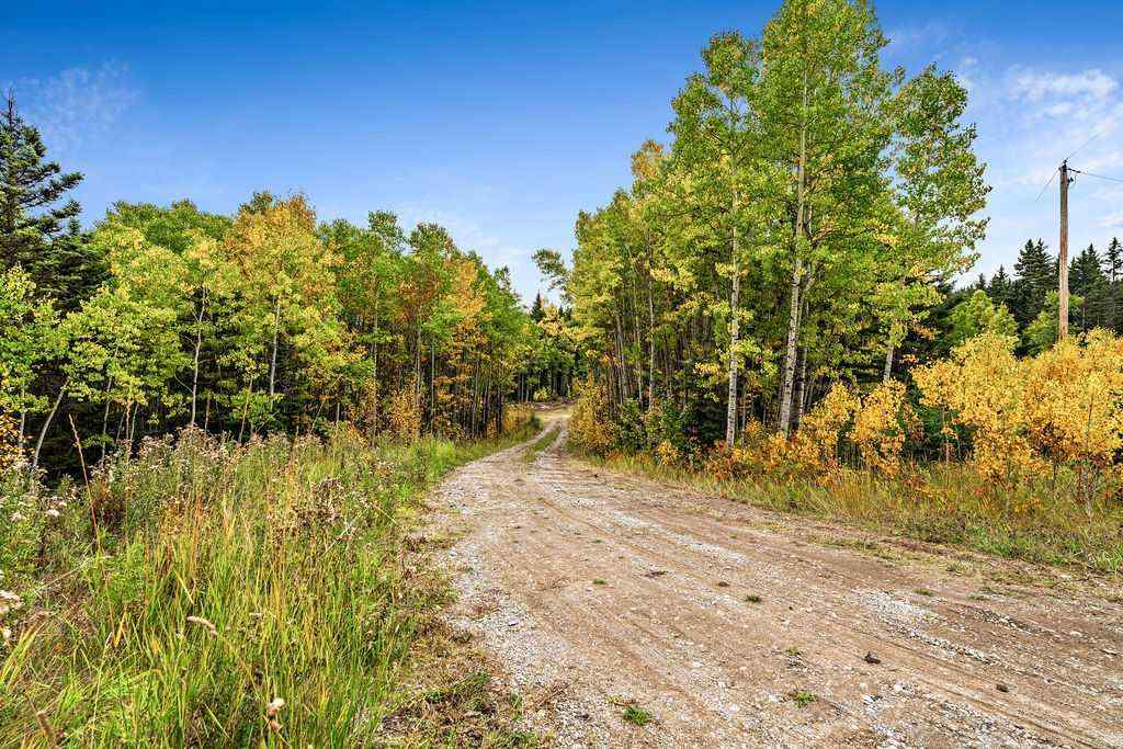 MLS® A2079106 - W:5 R:3 T:22 S:29 Q:NW Drive  in  Rural Foothills County, Land
