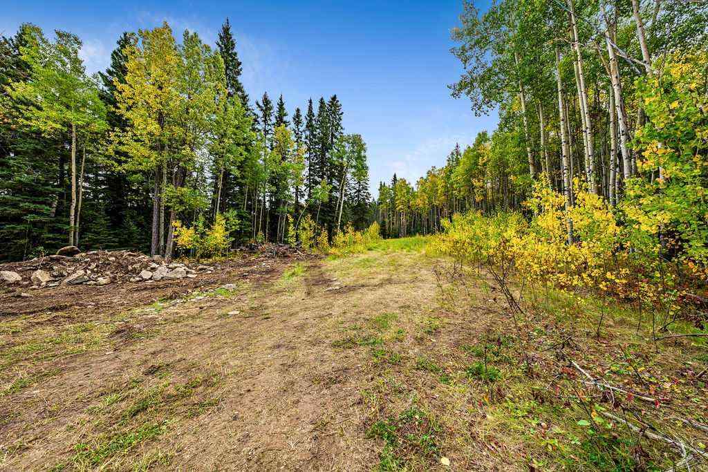 MLS® A2079106 - W:5 R:3 T:22 S:29 Q:NW Drive  in  Rural Foothills County, Land