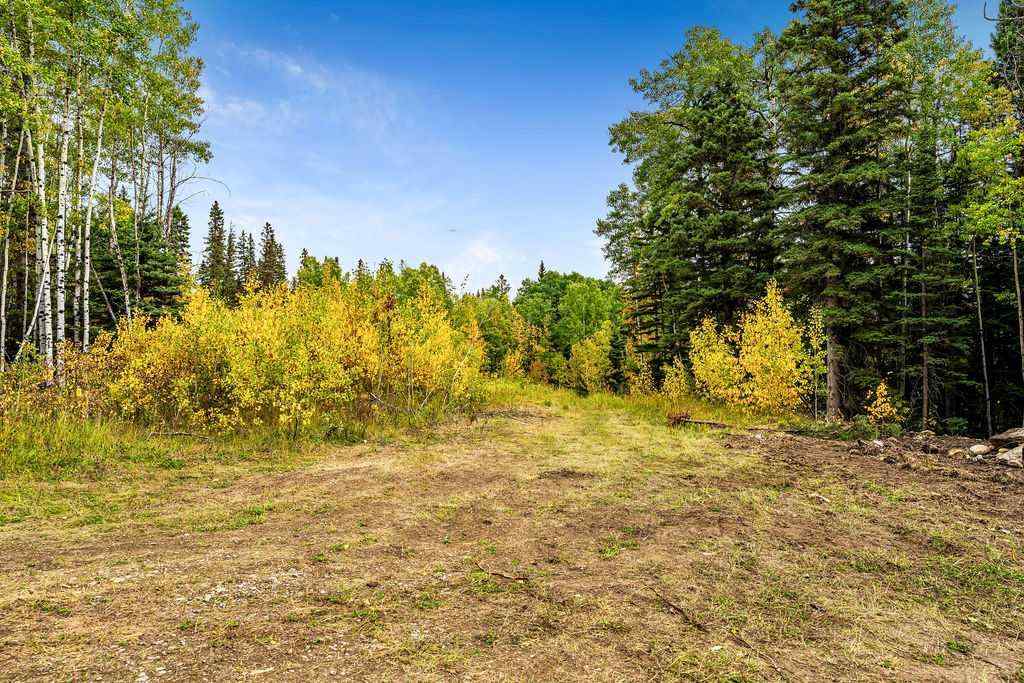 MLS® A2079106 - W:5 R:3 T:22 S:29 Q:NW Drive  in  Rural Foothills County, Land