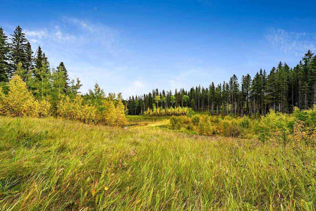 MLS® A2079106 - W:5 R:3 T:22 S:29 Q:NW Drive  in  Rural Foothills County, Land