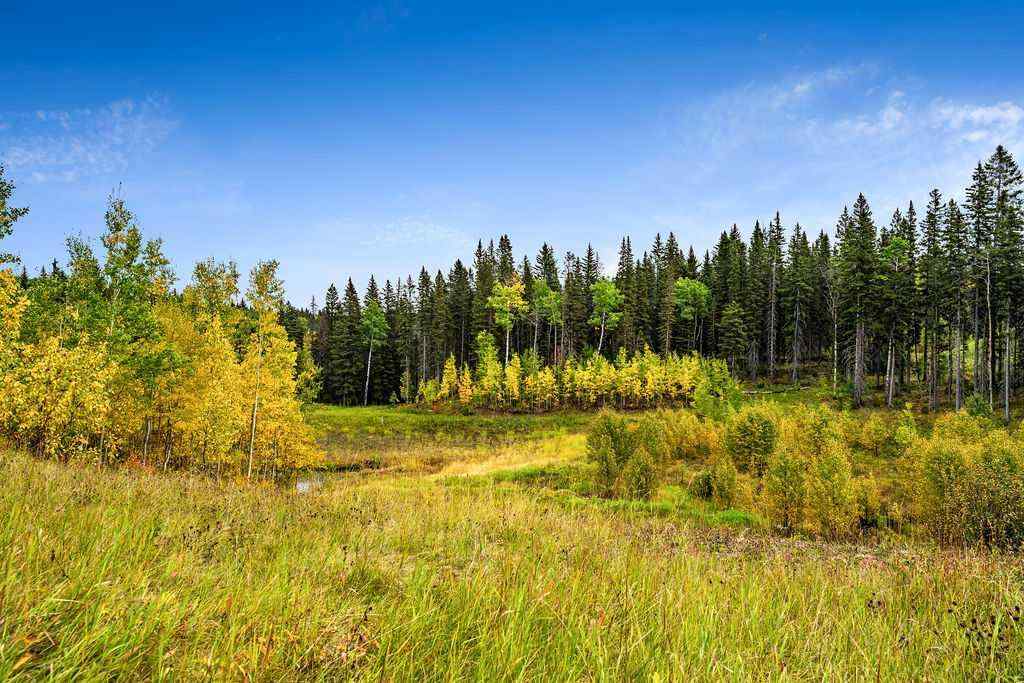 MLS® A2079106 - W:5 R:3 T:22 S:29 Q:NW Drive  in  Rural Foothills County, Land
