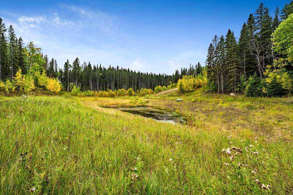 MLS® A2079106 - W:5 R:3 T:22 S:29 Q:NW Drive  in  Rural Foothills County, Land
