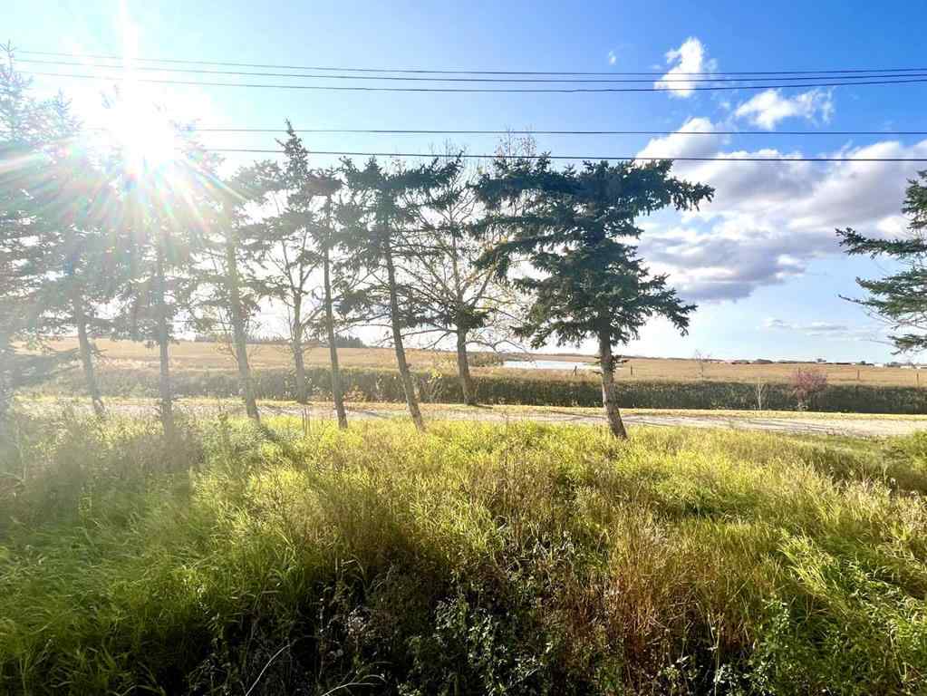 MLS® A2085093 - 4834 59 Street  in Killam Killam, Land