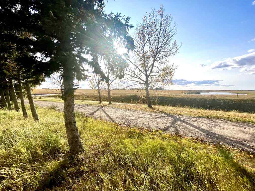 MLS® A2085093 - 4834 59 Street  in Killam Killam, Land