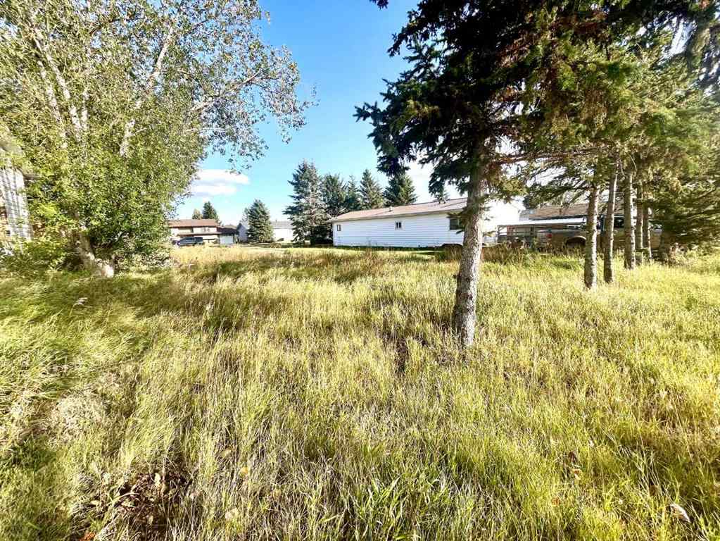 MLS® A2085093 - 4834 59 Street  in Killam Killam, Land