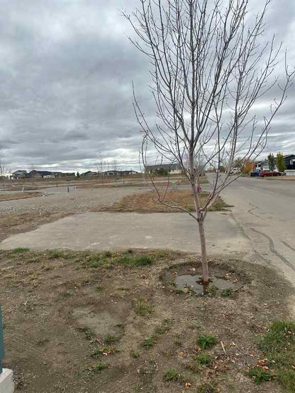 MLS® A2085584 - 4003 Seasons Boulevard  in NONE Coaldale, Land