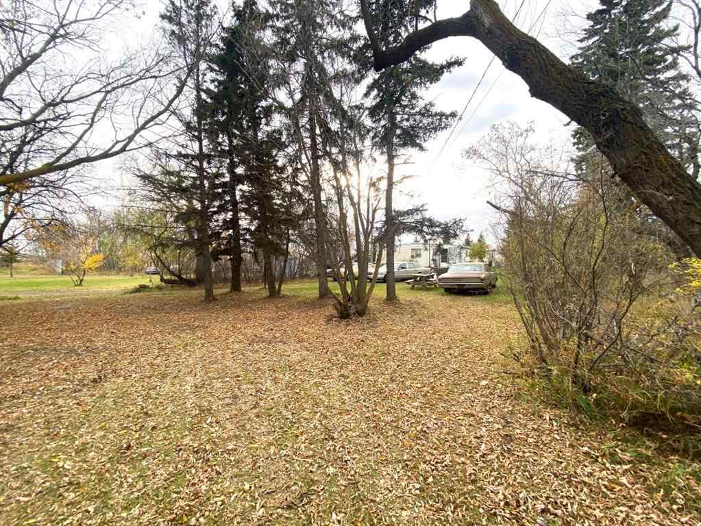 MLS® A2086782 - 116 Alberta Ave   in NONE Bawlf, Residential
