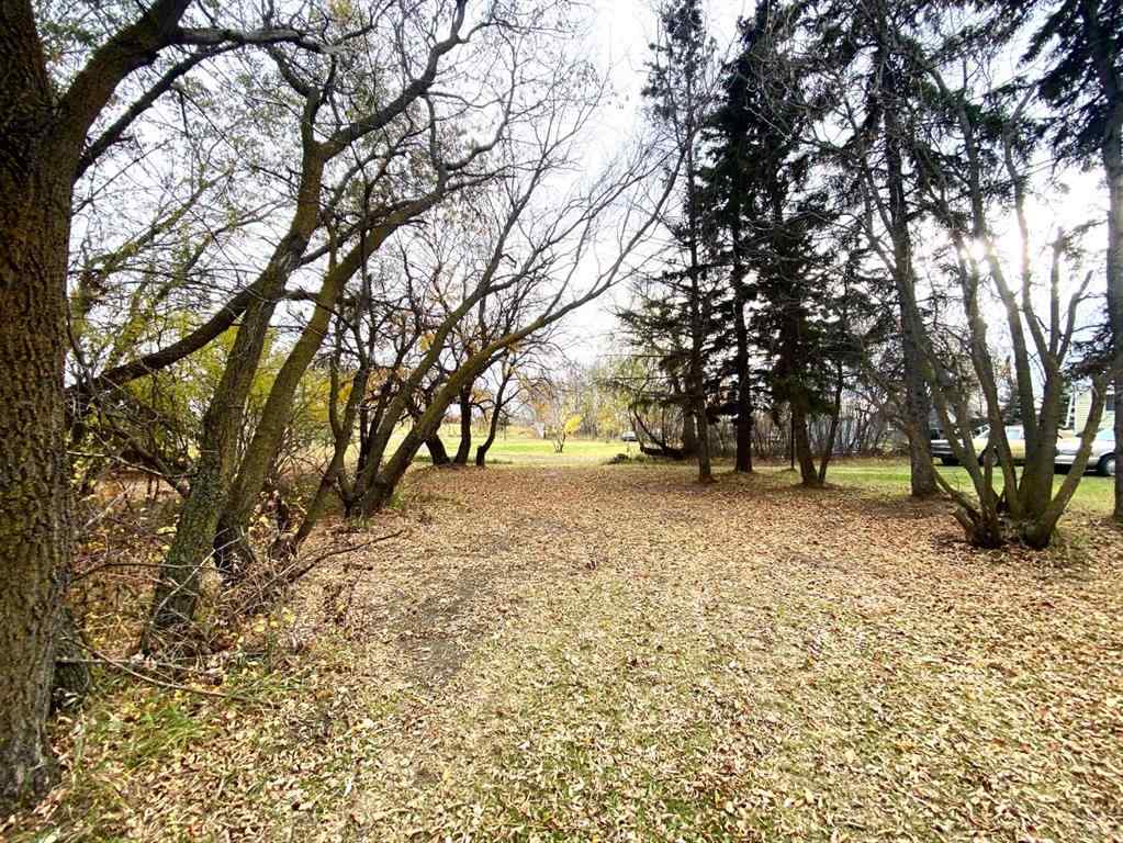 MLS® A2086782 - 116 Alberta Ave   in NONE Bawlf, Residential