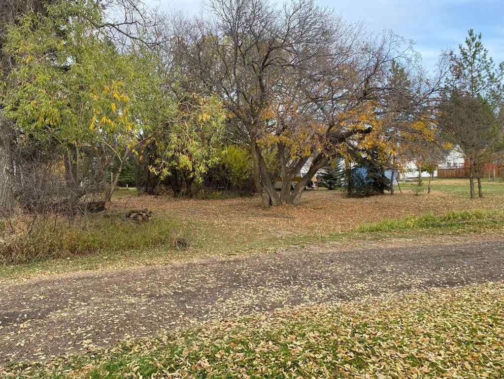 MLS® A2086782 - 116 Alberta Ave   in NONE Bawlf, Residential