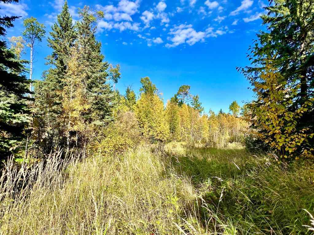 MLS® A2086790 - 4 Forrest Close  in Ridgeland Estates Rural Clearwater County, Land