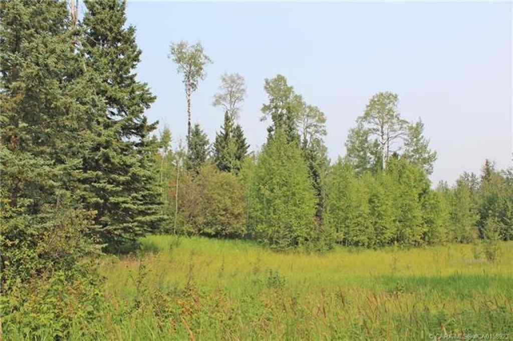 MLS® A2086790 - 4 Forrest Close  in Ridgeland Estates Rural Clearwater County, Land
