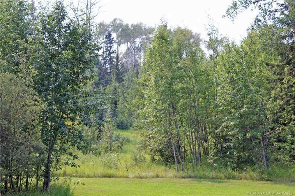MLS® A2086790 - 4 Forrest Close  in Ridgeland Estates Rural Clearwater County, Land