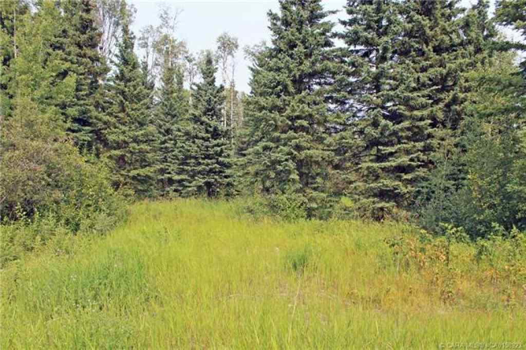 MLS® A2086790 - 4 Forrest Close  in Ridgeland Estates Rural Clearwater County, Land