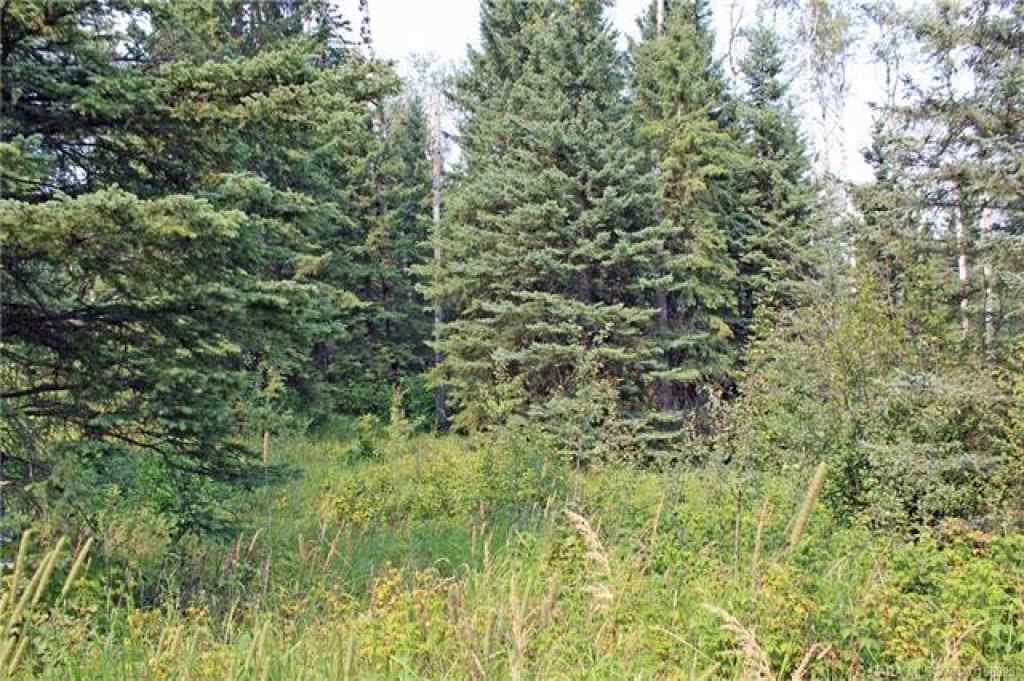 MLS® A2086790 - 4 Forrest Close  in Ridgeland Estates Rural Clearwater County, Land