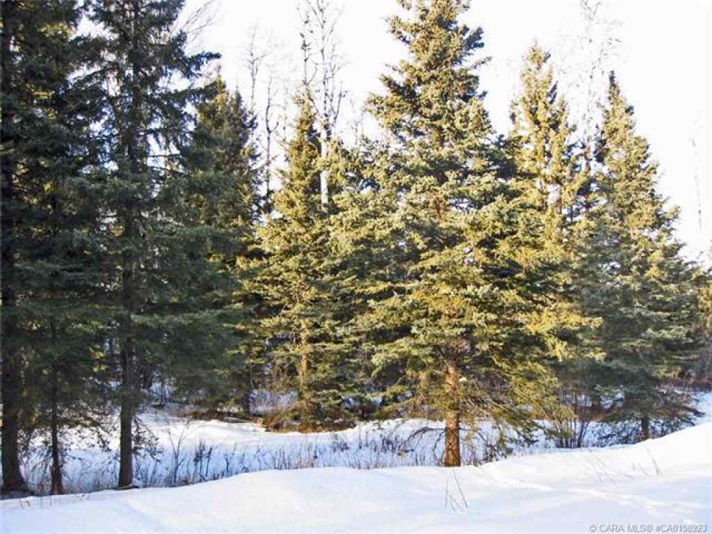MLS® A2086790 - 4 Forrest Close  in Ridgeland Estates Rural Clearwater County, Land