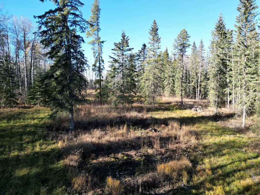 MLS® A2088492 - Unit #18 53018 Range Road 175   in NONE Rural Yellowhead County, Land
