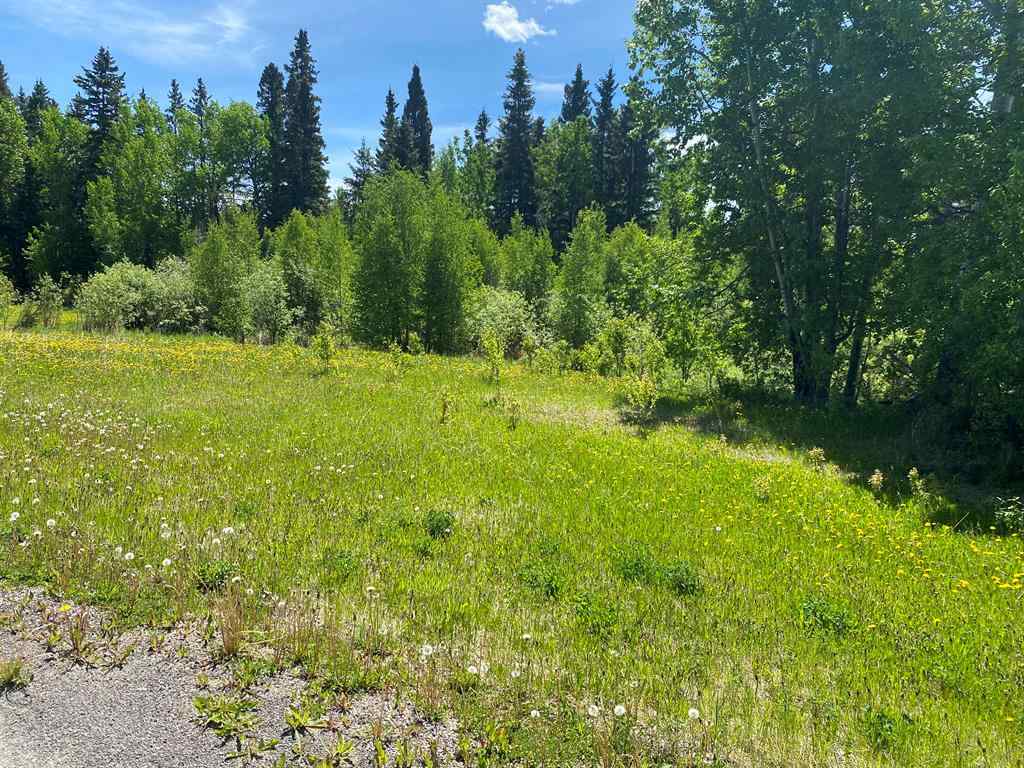 MLS® A2088514 - Unit #9 15015 Township Road 424 Township  in NONE Rural Ponoka County, Land