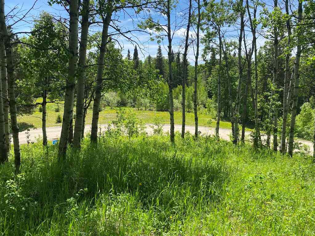 MLS® A2088767 - Unit #4 15015 Township Road 424 Township  in NONE Rural Ponoka County, Land