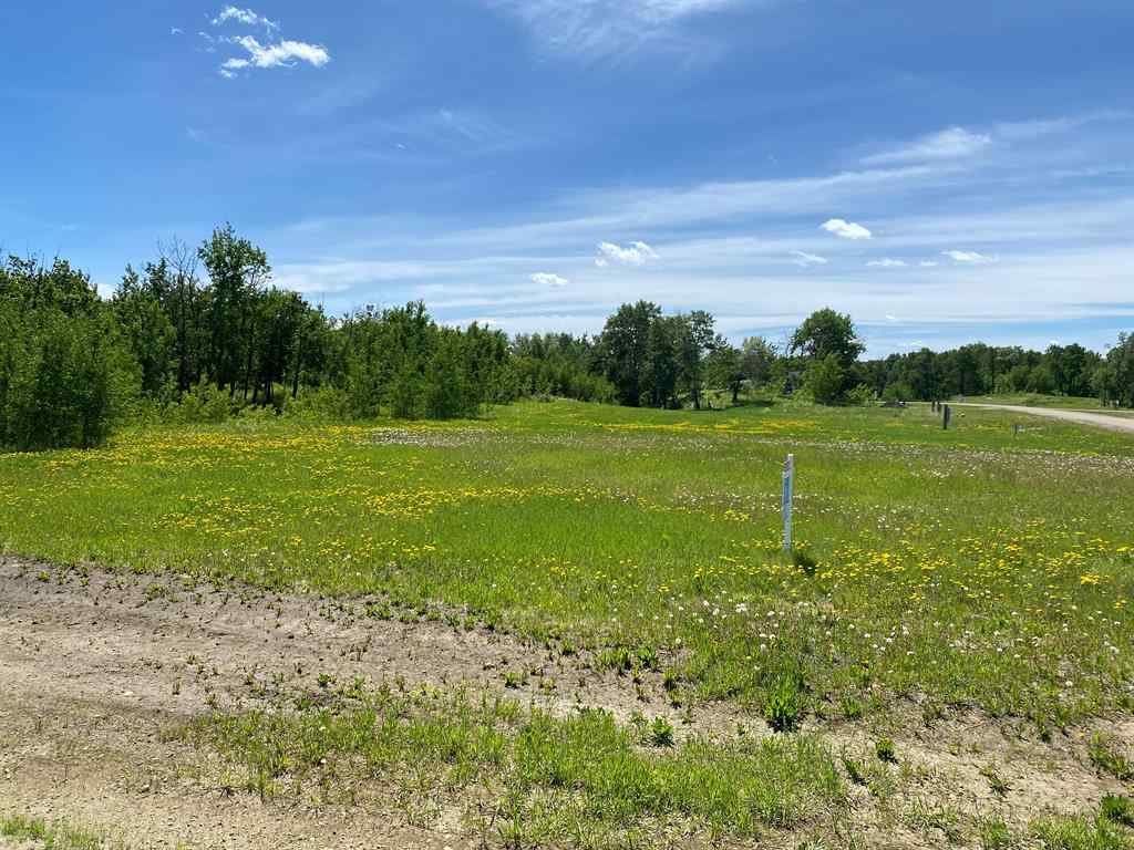 MLS® A2088768 - Unit #1 15015 Township Road 424 Township  in NONE Rural Ponoka County, Land