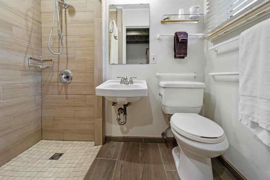 MLS® A2089316 - 4914 46 Street  in Killam Killam, Commercial