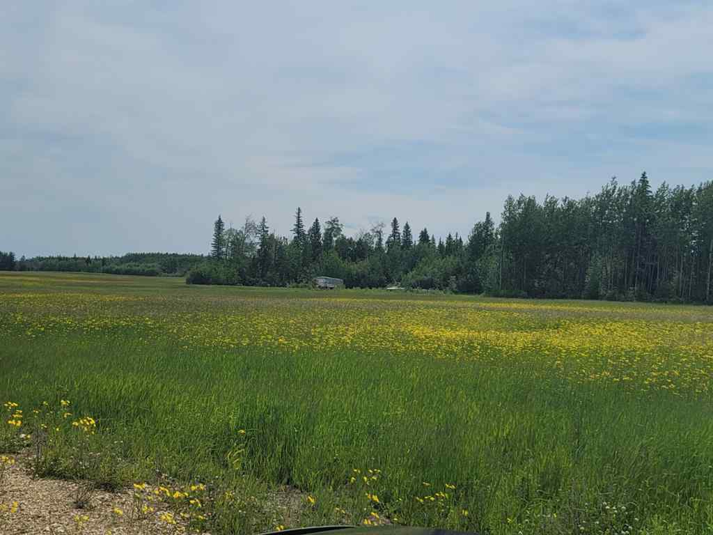 MLS® A2098239 - Township 740   in NONE Enilda, Land