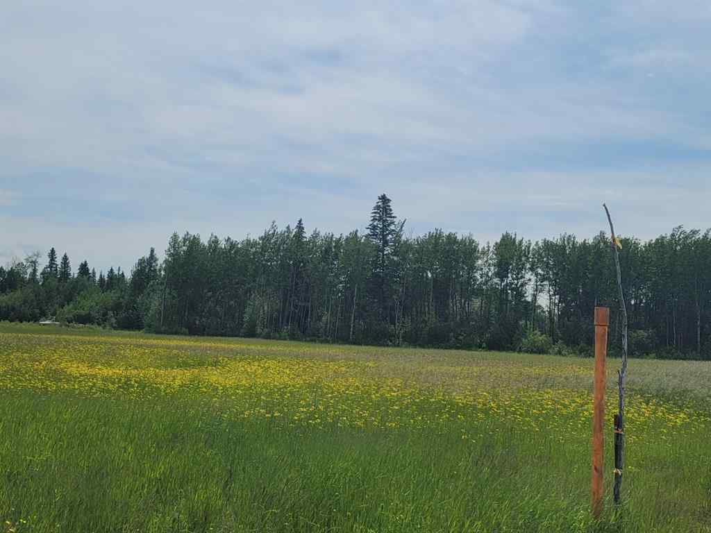 MLS® A2098239 - Township 740   in NONE Enilda, Land
