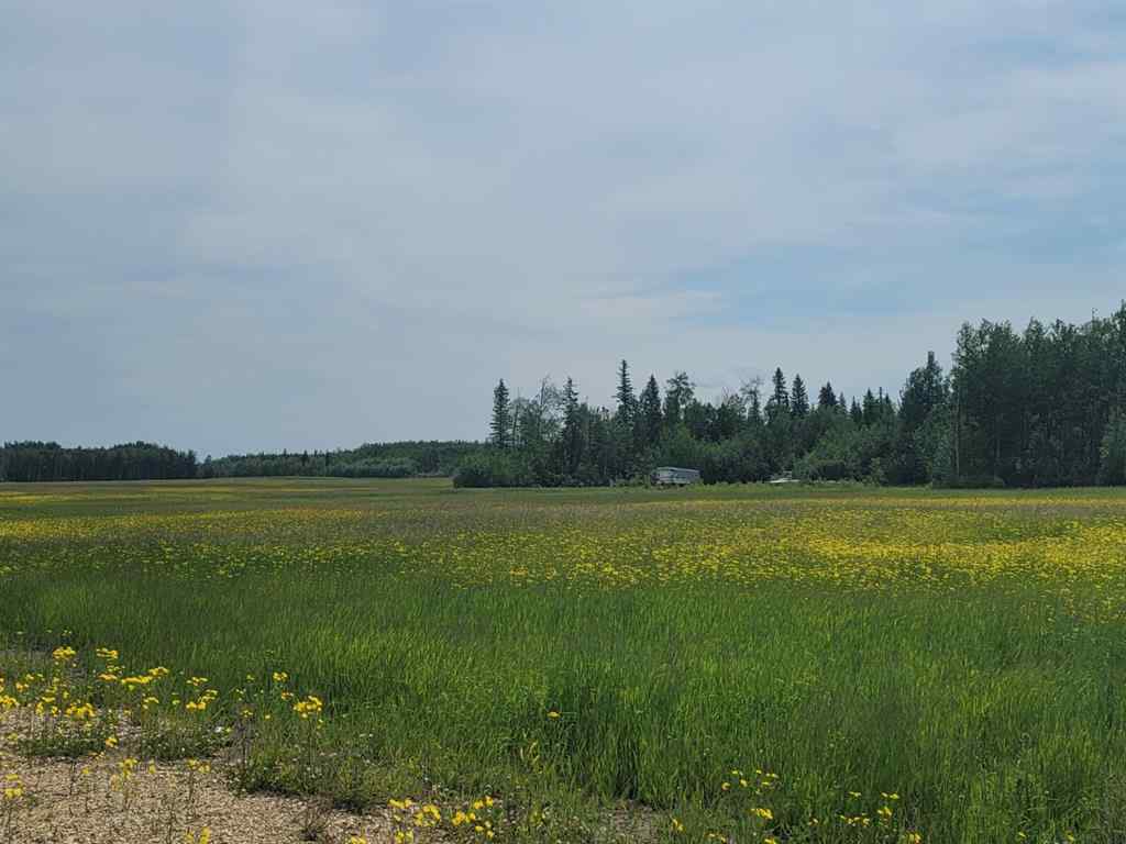 MLS® A2098239 - Township 740   in NONE Enilda, Land