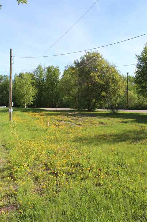 MLS® A2098254 - 307 3rd Street SE in NONE Manning, Land