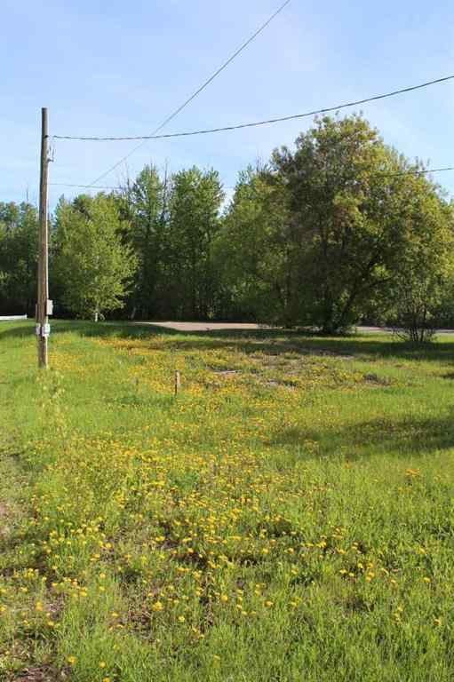 MLS® A2098254 - 307 3rd Street SE in NONE Manning, Land
