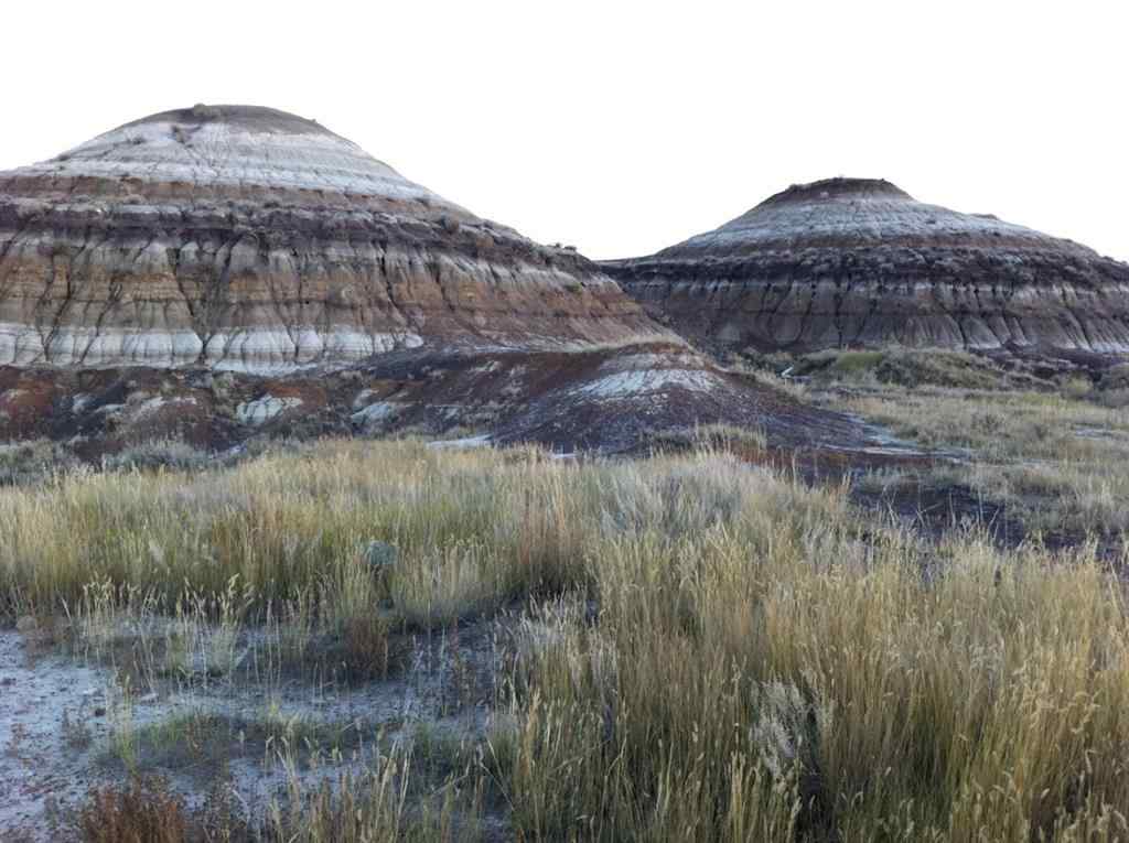 MLS® A2098887 - NW-02-029-20W4M NW Other  in Bankview Drumheller, Land