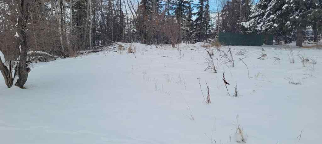 MLS® A2100343 - 38449 Highway 20   in NONE Sylvan Lake, Land