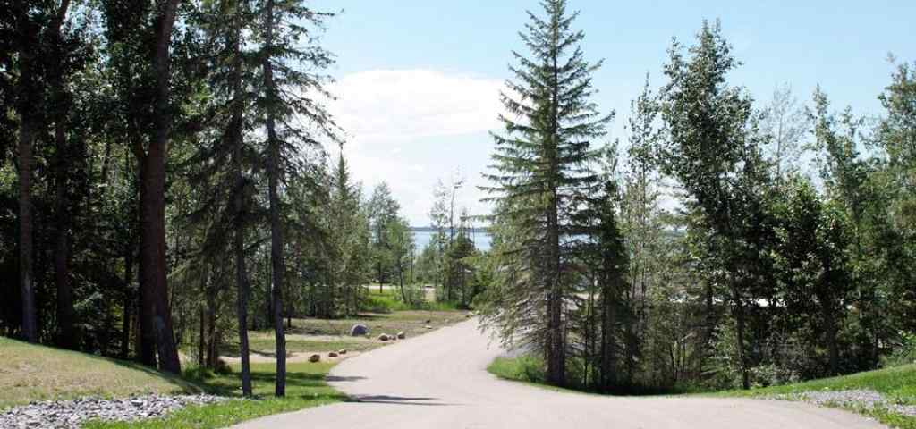 MLS® A2100606 - Unit #146 41310 Range Road 282   in DeGraff Resort Rural Lacombe County, Land