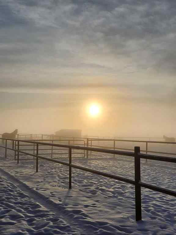 MLS® A2100749 - 390039 Range Road 5-4   in NONE Rural Clearwater County, Agri-Business