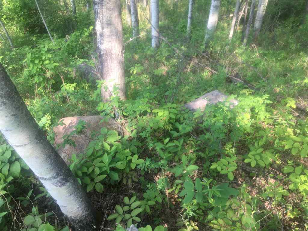 MLS® A2104804 - 224002 Township Road 654   in Century Estates_CATH Rural Athabasca County, Land