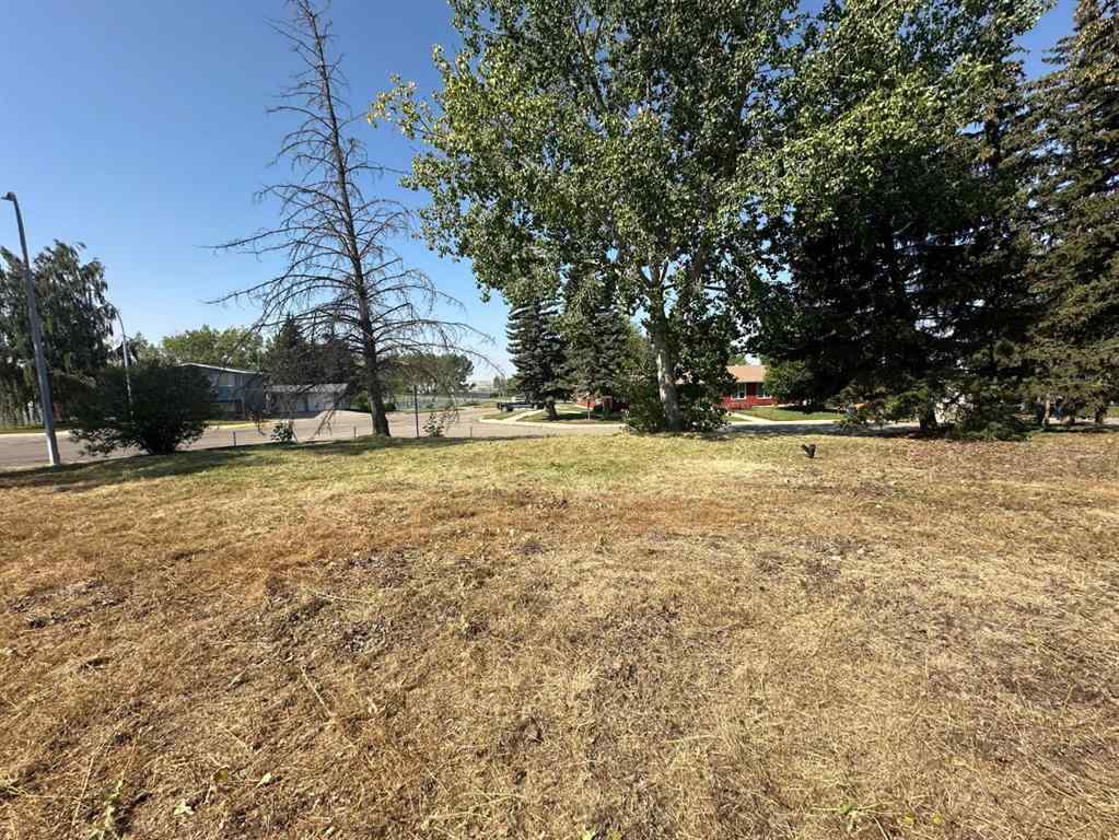 MLS® A2105481 - 410 5 Street SE in NONE Three Hills, Land