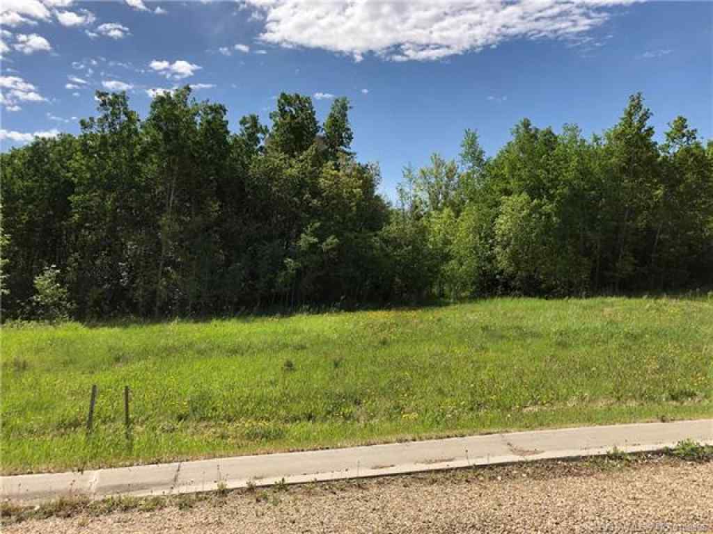 MLS® A2106667 - Lot 4 44 Avenue Close  in NONE Alix, Land