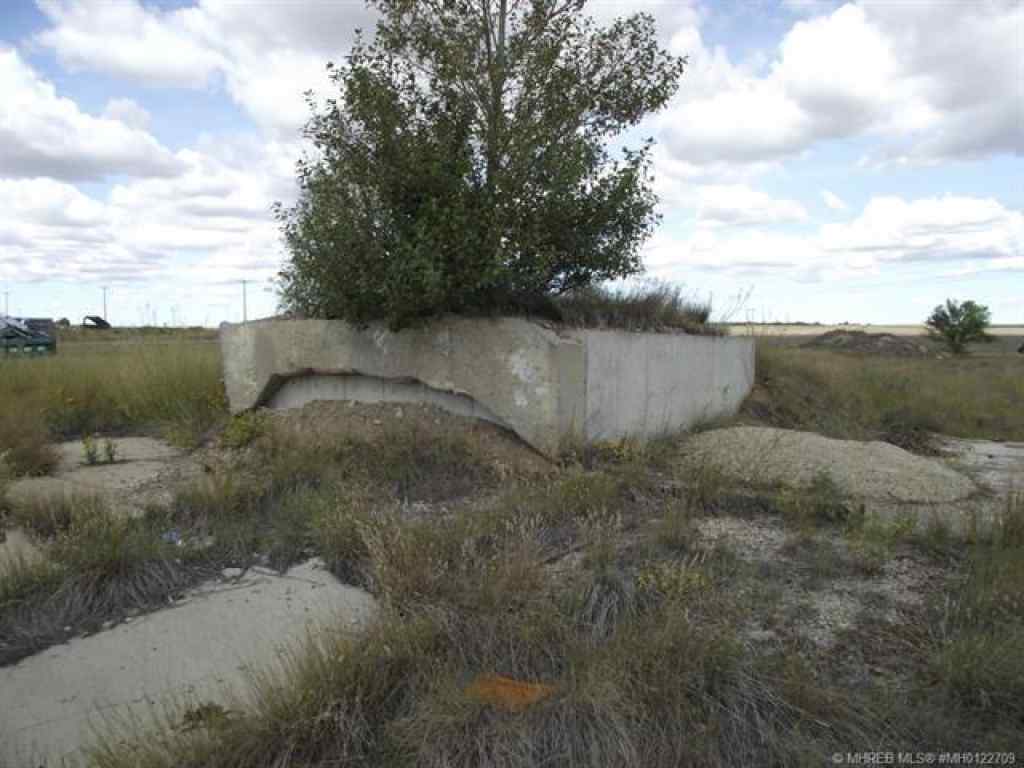 MLS® A2110613 - 600 Ellice Avenue  in NONE Rural Cypress County, Land