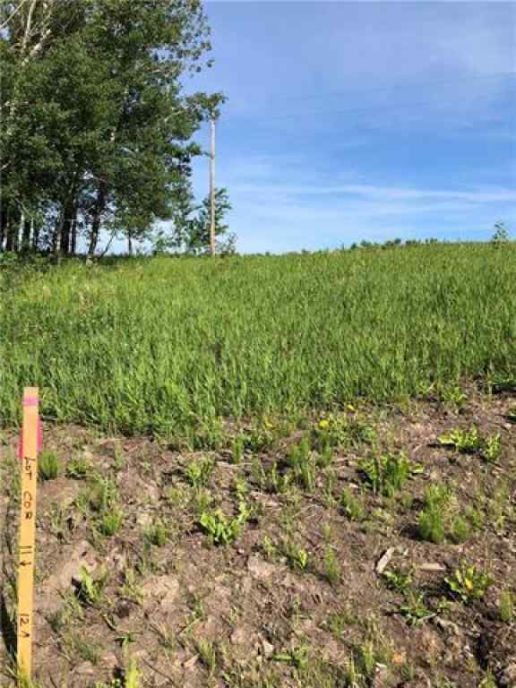 MLS® A2112328 - Lot 12 Campsite Road   in NONE Plamondon, Land