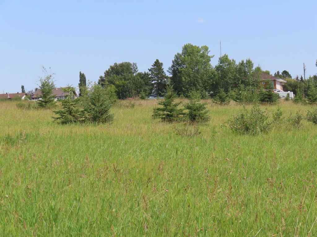 MLS® A2112431 - 48 Street 53 Avenue   in NONE Benalto, Land
