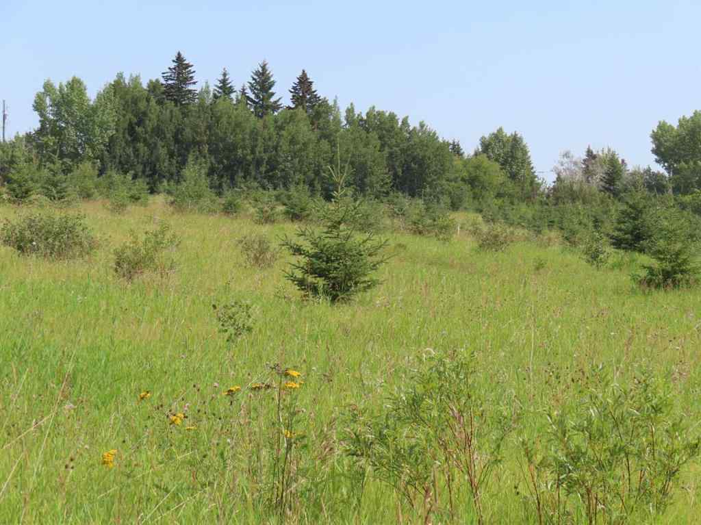 MLS® A2112431 - 48 Street 53 Avenue   in NONE Benalto, Land