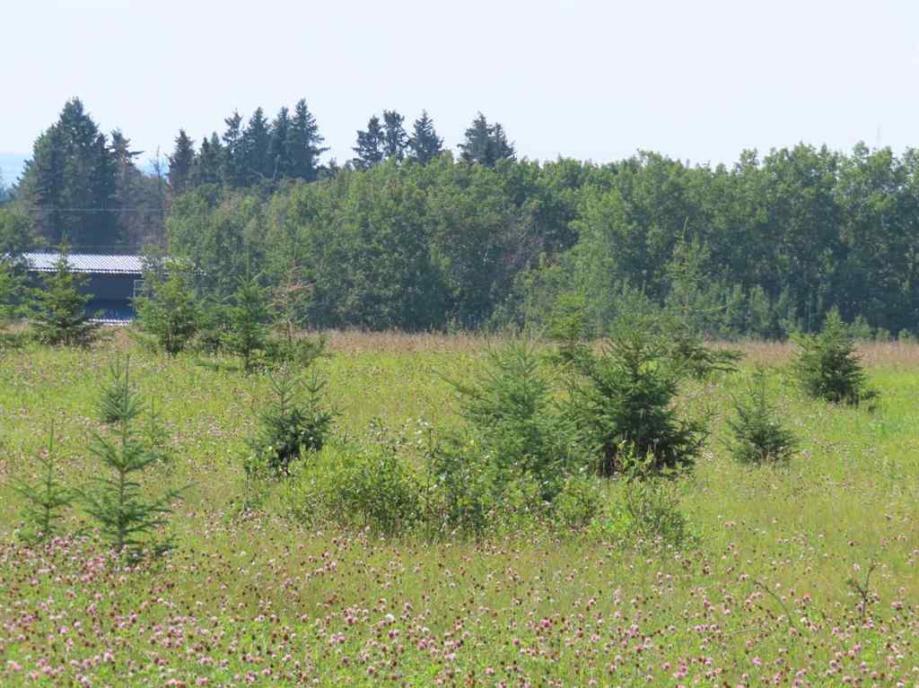 MLS® A2112431 - 48 Street 53 Avenue   in NONE Benalto, Land