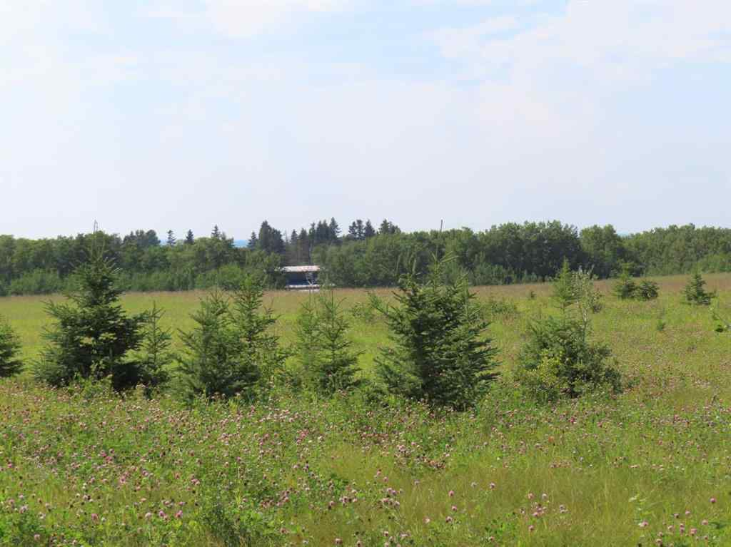 MLS® A2112431 - 48 Street 53 Avenue   in NONE Benalto, Land