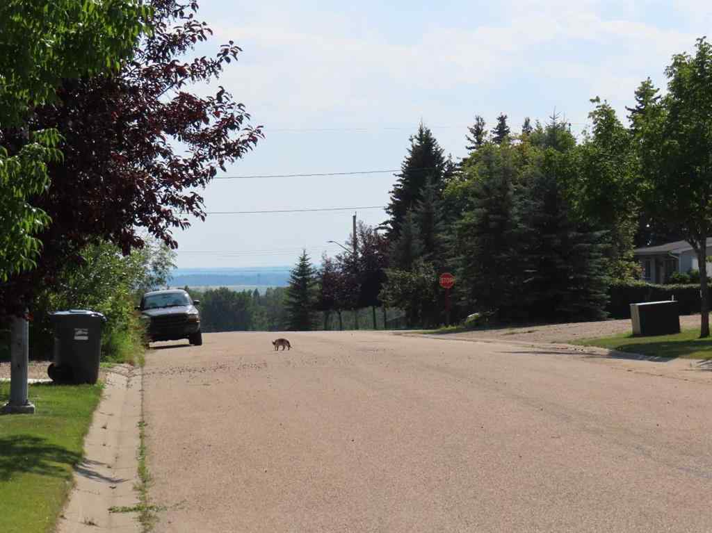 MLS® A2112431 - 48 Street 53 Avenue   in NONE Benalto, Land