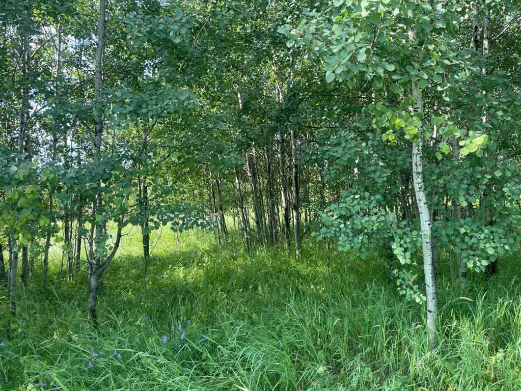 MLS® A2114418 - 1003 20 Avenue   in Marlboro Marlboro, Land