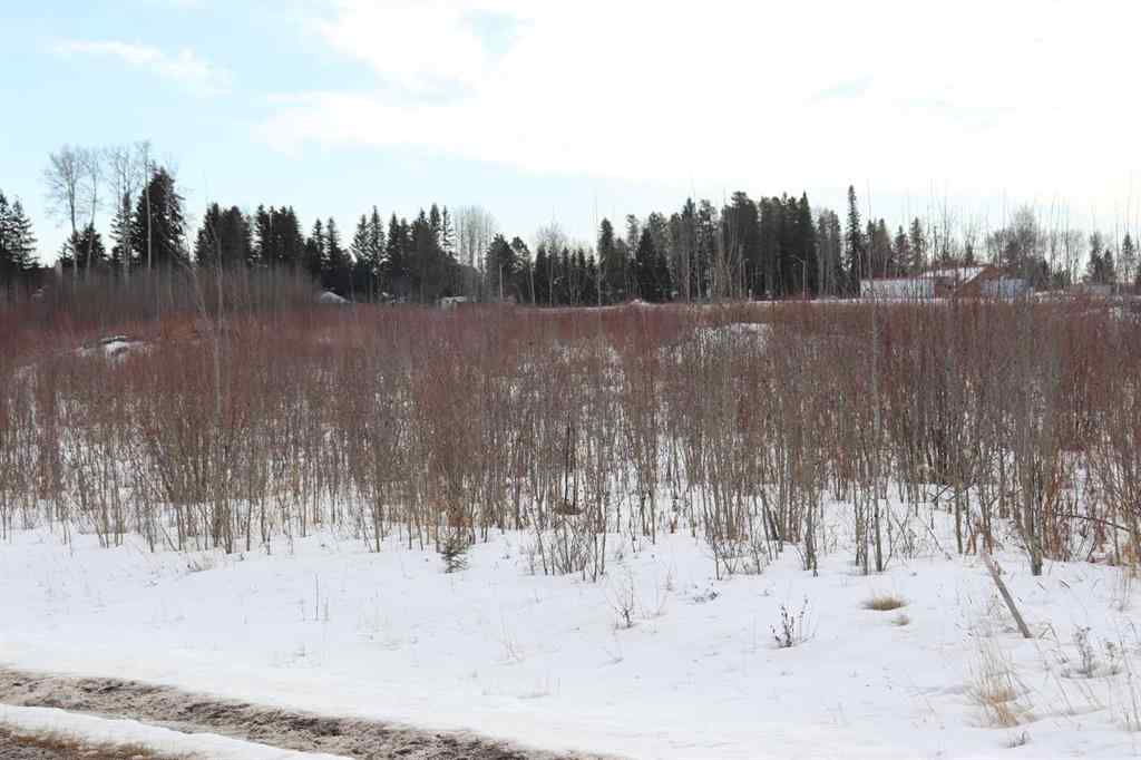 MLS® A2114666 - 7301 Glenwood Drive   in NONE Edson, Land