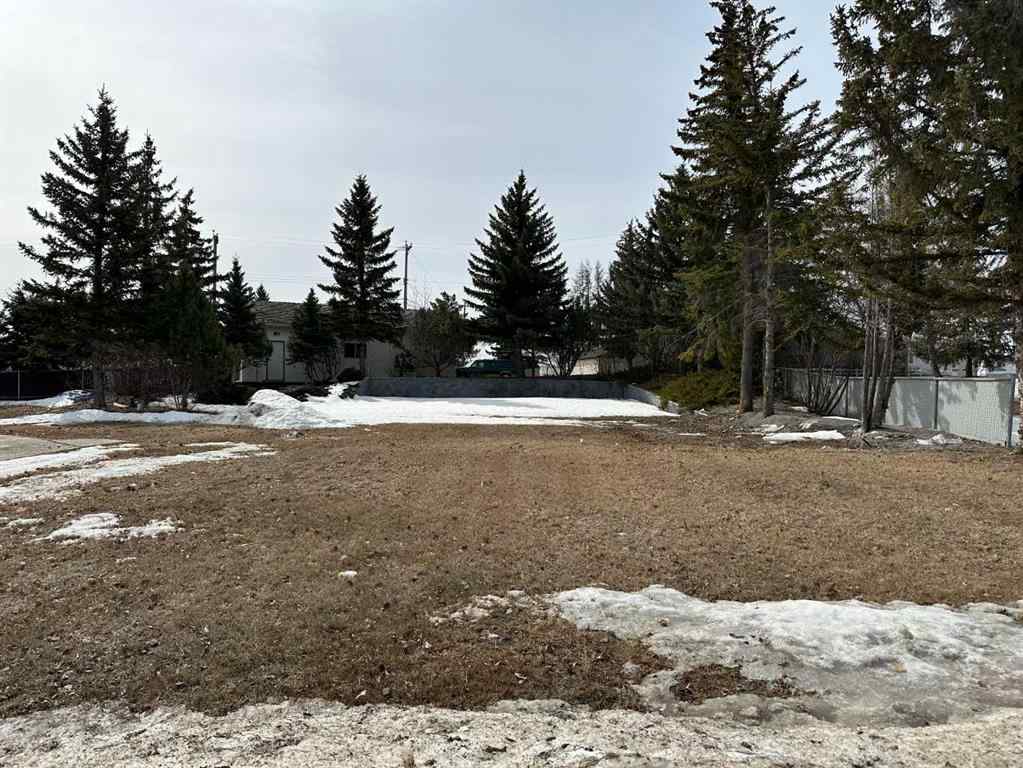 MLS® A2117731 - 4437 54 Avenue  in Provost Provost, Land